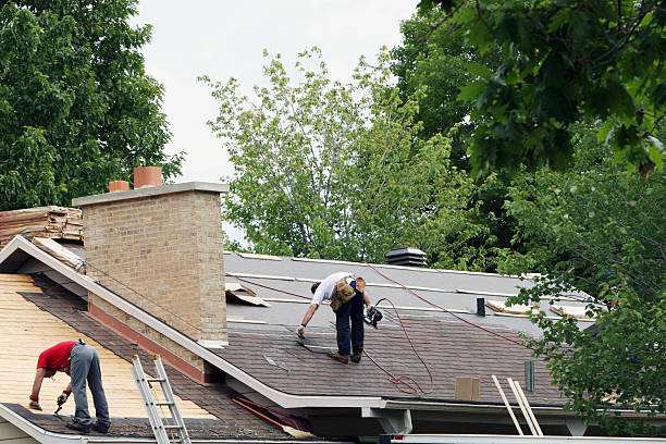 Best Gutter Installation and Roofing  in Belle Rose, LA